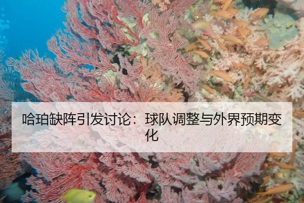哈珀缺阵引发讨论：球队调整与外界预期变化